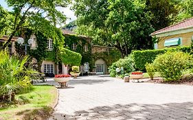 Le Cèdre de Soyons